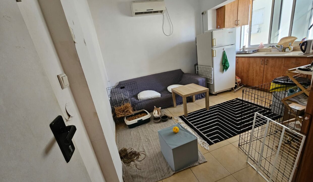 PHOTO-2025-11-12-15-38-23 (1)